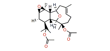 Astrogorgin I